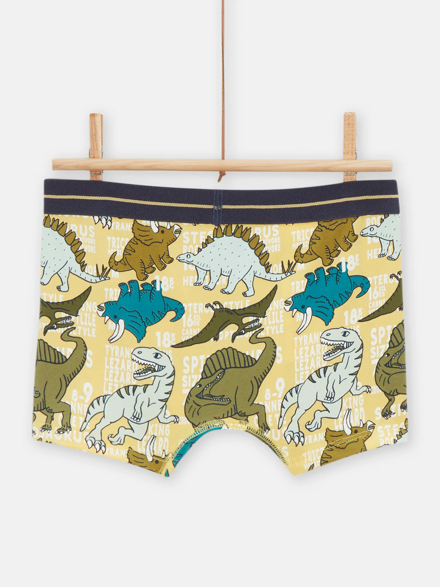 Boxer Bleu - Image 3