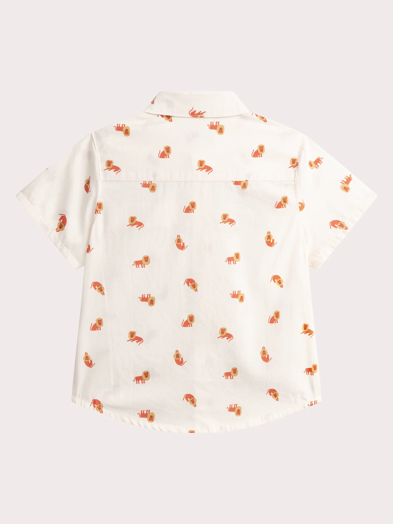 Chemise manches courtes imprimé lions - Image 4