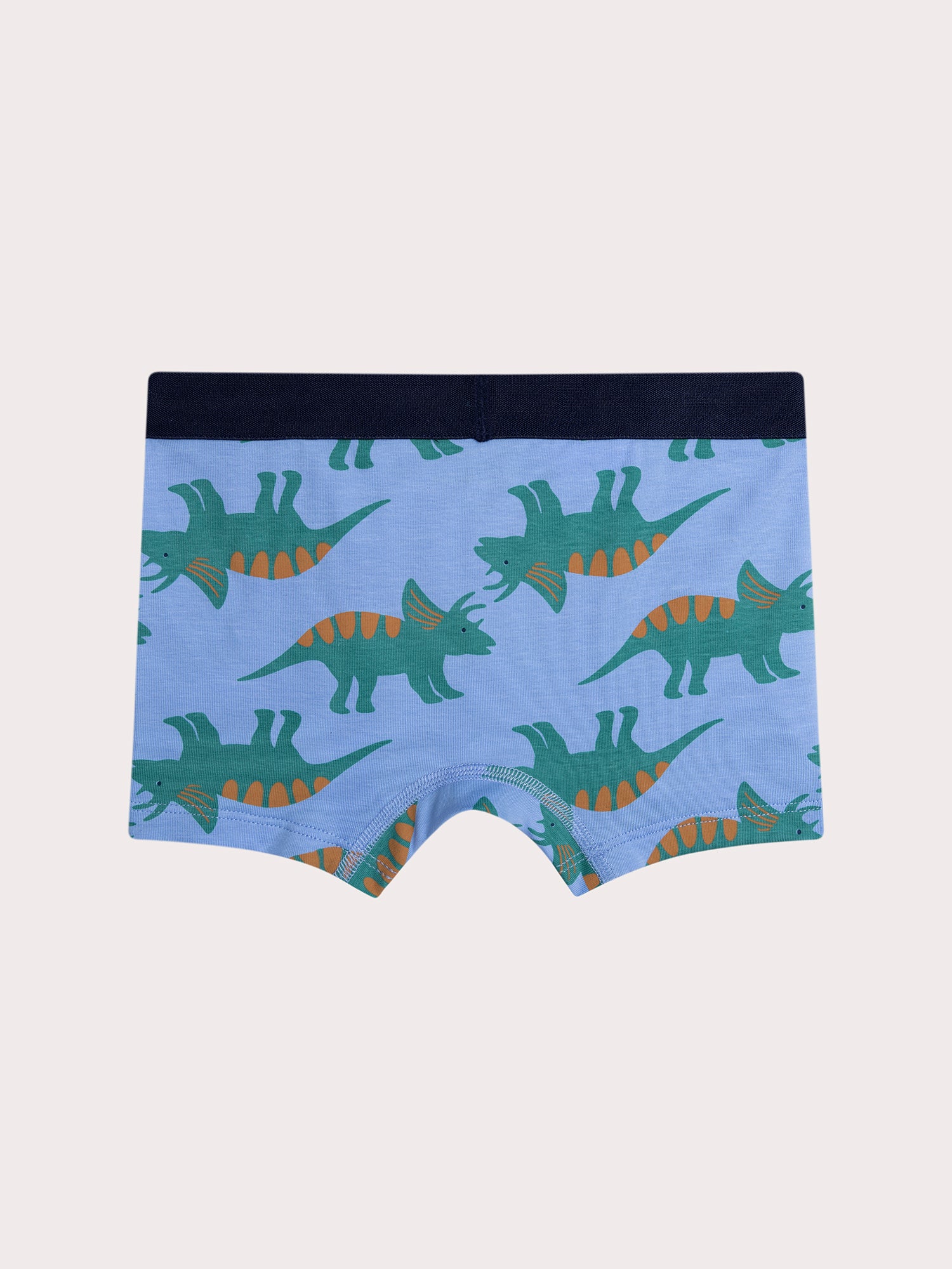 Lot de 4 boxers dinausaures pour enfant garçon - Image 4