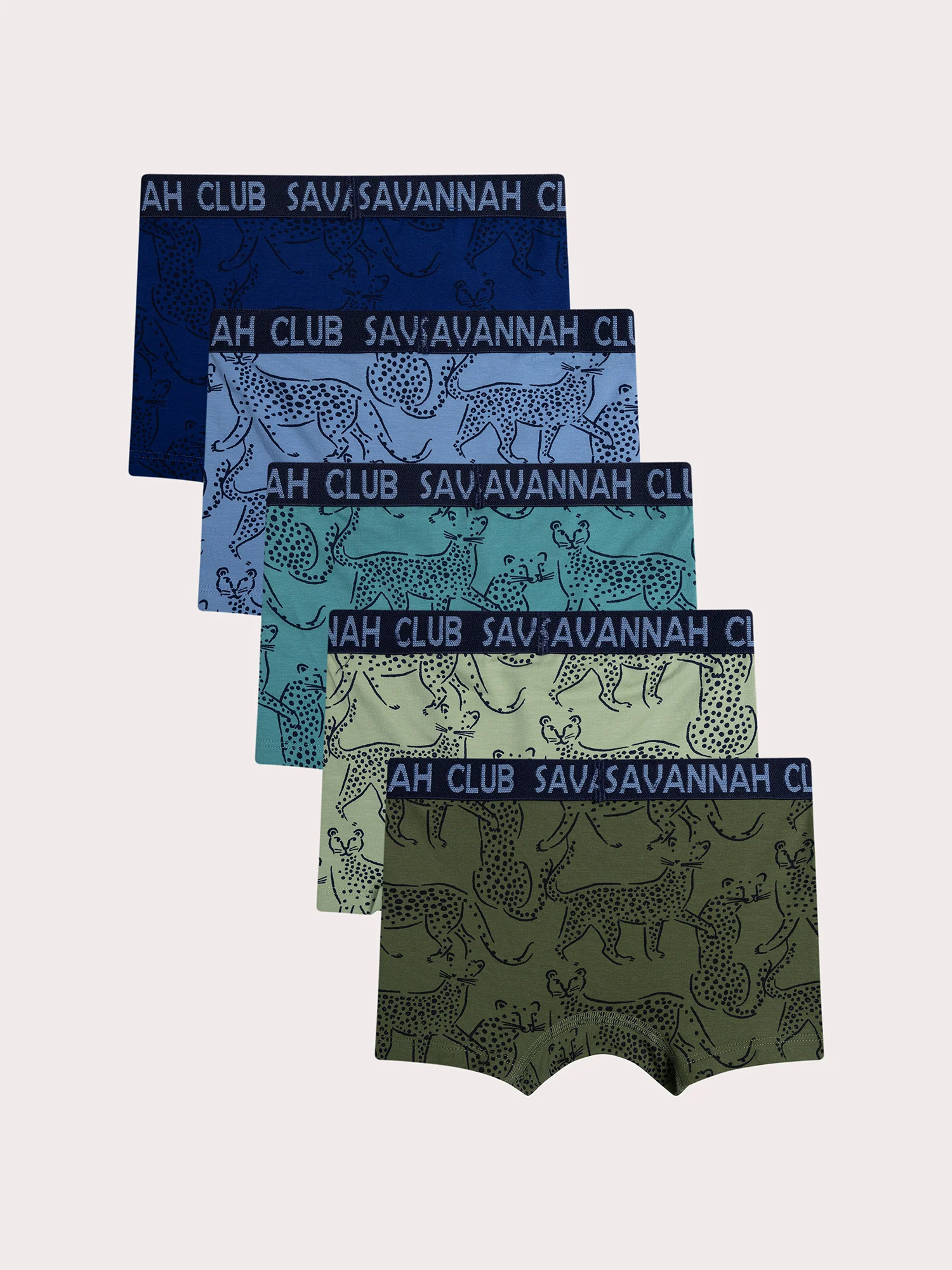 Lot de 5 boxers léopard pour enfant garçon - Image 5