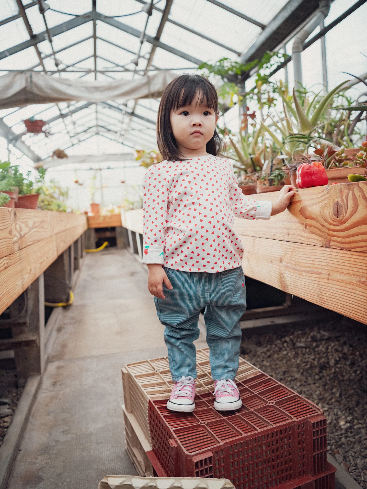 Pantalon rayé en denim avec broderies fleurs pour bébé fille - Image 3
