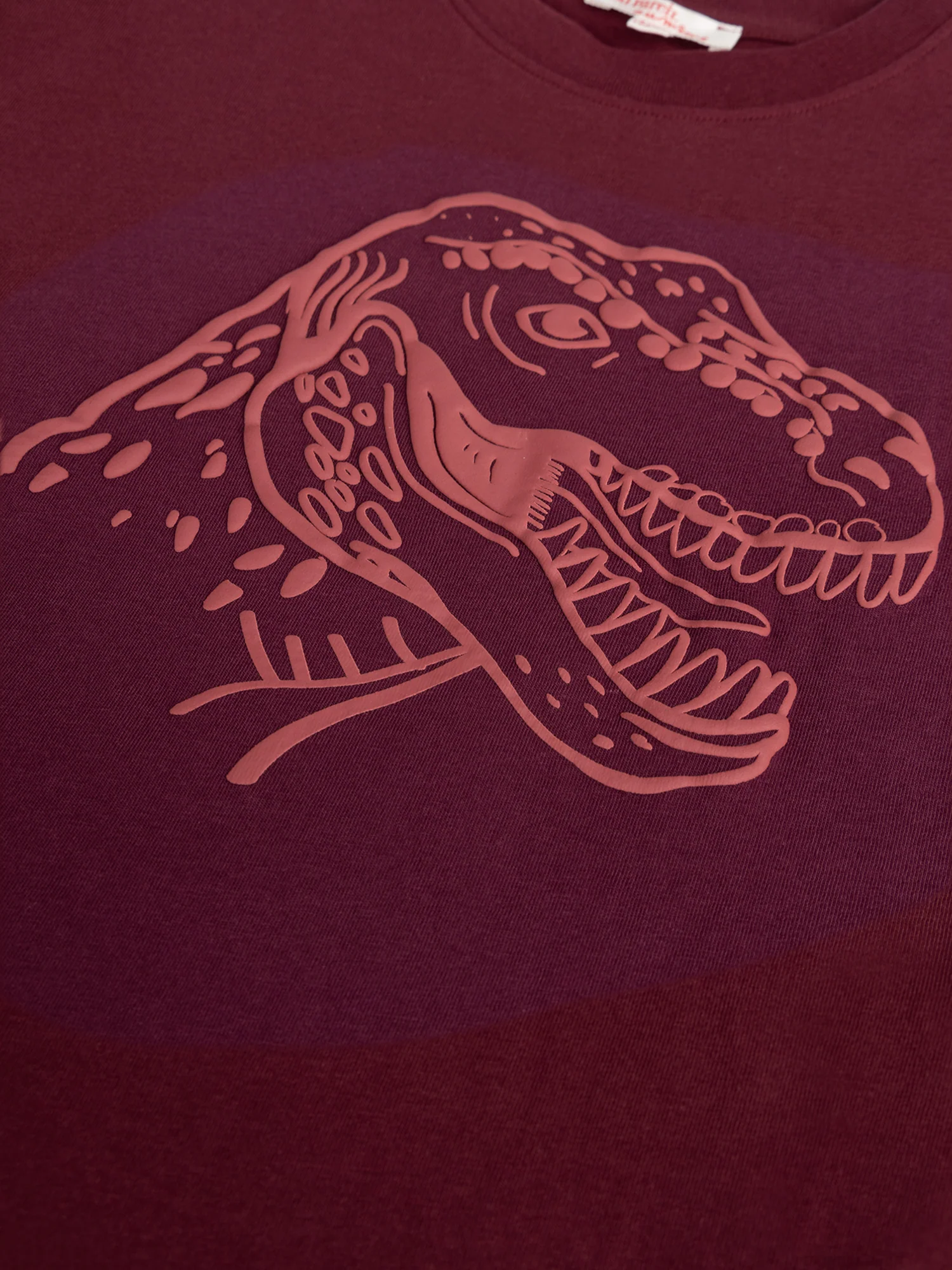 T-shirt bordeaux animation dino pour garçon - Image 2