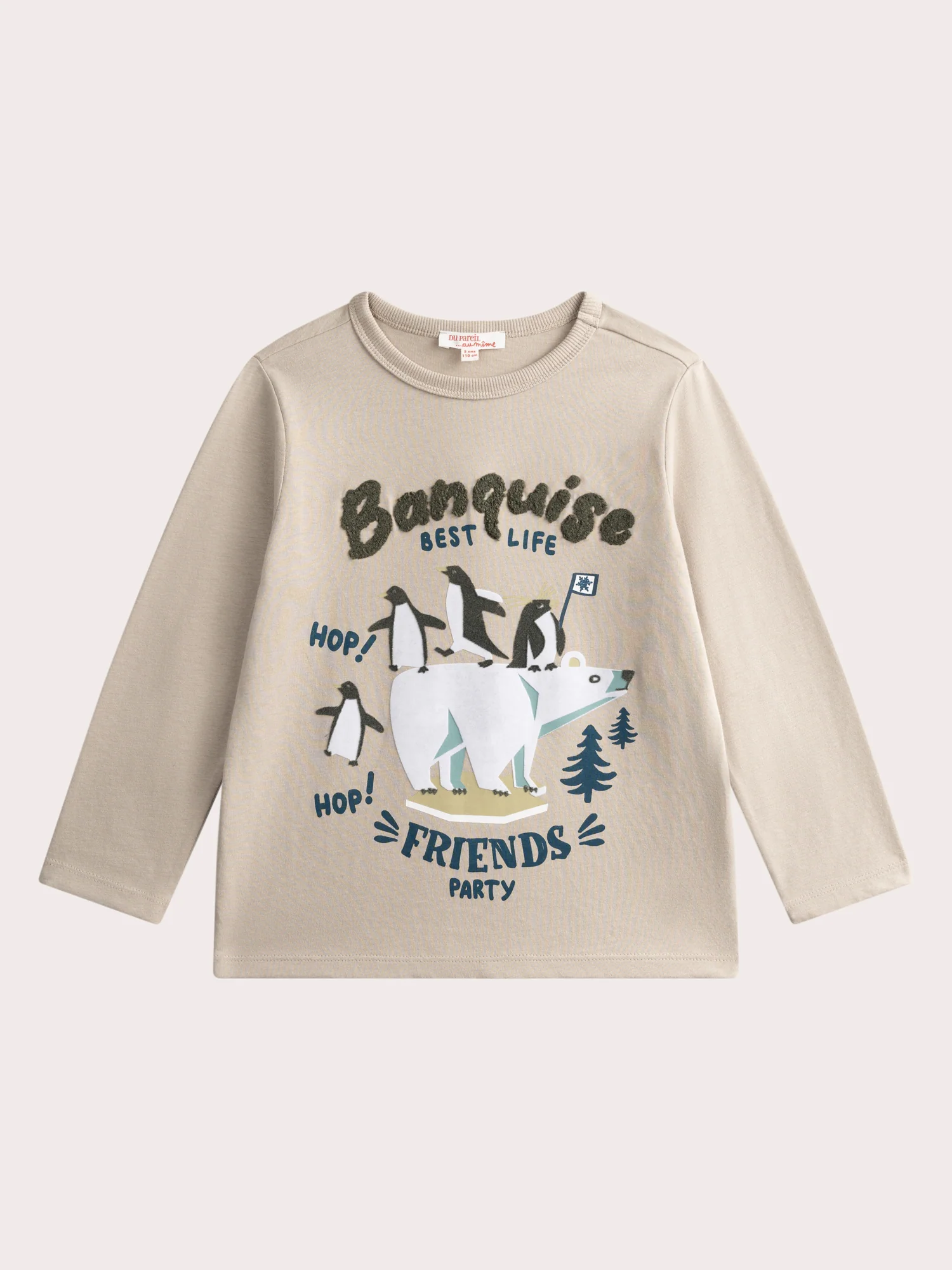 T-shirt gris animation banquise pour garçon